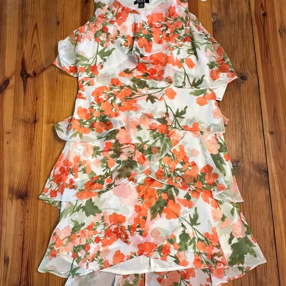 Size 4 SLNY DRESS - Picture 1 of 2
